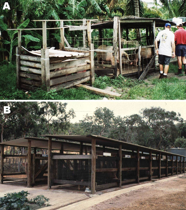 Pig housing in Badu Island. A) Typical backyard pig pen in community before removal in 1998 and B) Badu Island piggery, where pigs have been housed since late 1998.