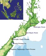 Thumbnail of Map of Palawan, the Philippines, showing areas (red dots) where human Plasmodium knowlesi infections were confirmed (obtained from ESRI ArcGis 9 Media Kit and Provincial Development Office, Palawan, the Philippines).