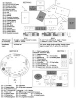 Thumbnail of Map of the 3 main sections of the Phnom Tamao Wildlife Rescue Centre, Cambodia, during outbreak of highly pathogenic avian influenza virus (H5N1), December 15, 2003–January 13, 2004. Shaded areas indicate contaminated cages (labeled with date of outbreak). NA, exact cage not available.