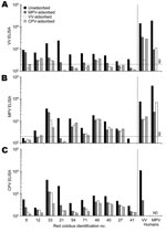 Thumbnail of Serologic characterization of red colobus to Orthopoxvirus antigens. Plasma samples were collected from 31 red colobus, and 10 samples with detectable antibody responses to vaccinia virus (VV) antigens (Appendix Figure) were chosen for further analysis. Plasma samples were tested for specificity by a postadsorption ELISA (7) in which samples were either unadsorbed or preadsorbed with monkeypox virus (MPV), vaccinia virus (VV), or cowpox virus (CPV) antigens prior to performing an ELISA on A) VV-, B) MPV-, or C) CPV-coated ELISA plates. The results obtained by using plasma from a VV-immune human study participant (VV human) and a MPV-immune participant (MPV human) are shown for comparison. The dashed line indicates the cut-off value for a seropositive antibody response (200 ELISA units). ND, not determined.