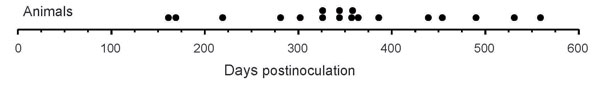 Distribution of incubation times of hamsters infected by injected urine. Each dot represents 1 animal with clinical scrapie that was euthanized at the corresponding day postinoculation. The 22 additional animals that died during the incubation period and the 252 animals that survived to the end of the experiment (559 days) showed no clinical or immunochemical evidence of scrapie and were scored as scrapie negative.