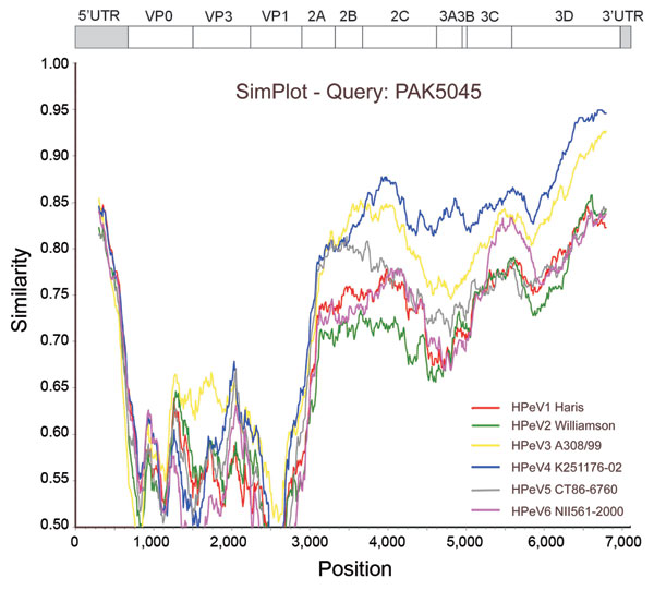 SimPlot (http://sray.med.som.jhmi.edu/SCRoftware/simplot) analysis of the full-length sequences of the human parechovirus (HPeV) prototypes against PAK5045 query, based on nucleotide similarities. Each curve compares the PAK5045 genome with an HPeV prototype. The Kimura 2-parameter model was applied with a transition/transversion (Ts/Tv) ratio of 3.0 (5), and a sliding window of 600 nt with a step size of 10 nt was used.