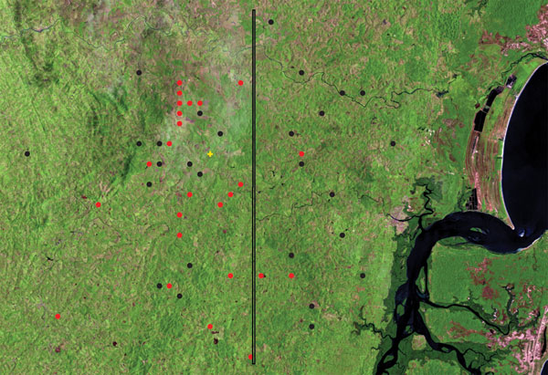 Satellite view of distribution of patients with disseminated leishmaniasis (DL; black circles) and patients with mucosal leishmaniasis (ML; red circles) in Corte de Pedra, Brazil, 1999–2003. Vertical line divides the region into inner (left) and coastal (right) areas of similar size. Total number of patients shown is smaller than the number of corresponding patients because of overlap of geographic coordinates for some patients. For details, see Materials and Methods. p = 0.00005, for data analy