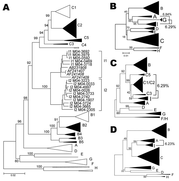 A) Phylogenetic comparison of all complete genotype I genomes (n = 15) obtained and compared to sequences of all known genotypes and subgenotypes. Non–genotype I genotypes identified in Lao People’s Democratic Republic in the present study are shown as full triangles. Numbers indicate bootstrap values of important nodes. B–D) Phylogenetic comparison of positions 400–1400 (left), 1400–3000 (middle), and 3000–400 (right), of all genotype I strains with all known genotypes and subgenotypes. Percentages indicate average genetic distances between genotype I and G, C, or A, respectively. Scale bars indicate number of substitutions per site.