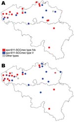 Thumbnail of Distribution, by farms, of epidemic methicillin-resistant Staphylococcus aureus strains of spa type t011-SCCmec type IV, t011-SCCmec type V, and other types, Belgium, 2007. A) Farm residents and workers; B) Pigs. SCC, staphylococcal cassette chromosome.