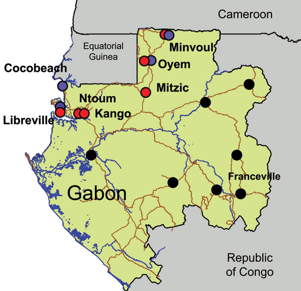 Chikungunya and dengue outbreaks in Gabon, 2007. Distribution of the outbreak and location of the 7 towns where suspected cases have been laboratory confirmed by using quantitative reverse transcription–PCR assay are shown. Chikungunya cases are represented by red circles, dengue cases by blue circles, and cases negative for the viruses by green circles. Testing methods are described in the footnote to the Table.