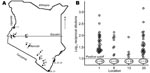 Thumbnail of A) Map of Kenya showing locations of the bat collections, numbered in order of collection. B). Antibody titers to West Caucasian bat virus (WCBV) in Miniopterus bats from 4 of the locations. A modified rapid fluorescent focus inhibition test for WCBV-neutralizing antibodies was used. Bats with 50% end-point neutralizing titers &gt;1 log10 were considered seropositive. Numbers of negative bats for each location are circled below the cutoff line.