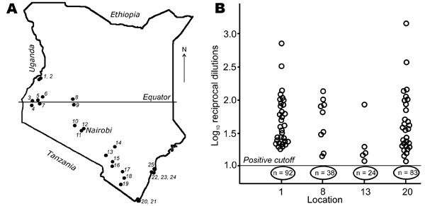 A) Map of Kenya showing locations of the bat collections, numbered in order of collection. B). Antibody titers to West Caucasian bat virus (WCBV) in Miniopterus bats from 4 of the locations. A modified rapid fluorescent focus inhibition test for WCBV-neutralizing antibodies was used. Bats with 50% end-point neutralizing titers &gt;1 log10 were considered seropositive. Numbers of negative bats for each location are circled below the cutoff line.