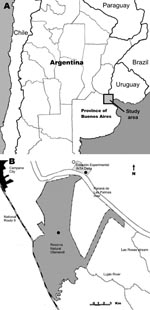 Thumbnail of A) Location of study area in the lower Paraná River Delta of Argentina. B) Tick collection sites along the Paraná River (dark circles) and a recently reported case of eschar-associated rickettsiosis (open circle) identified by clinicians in Buenos Aires Province, Argentina (7).