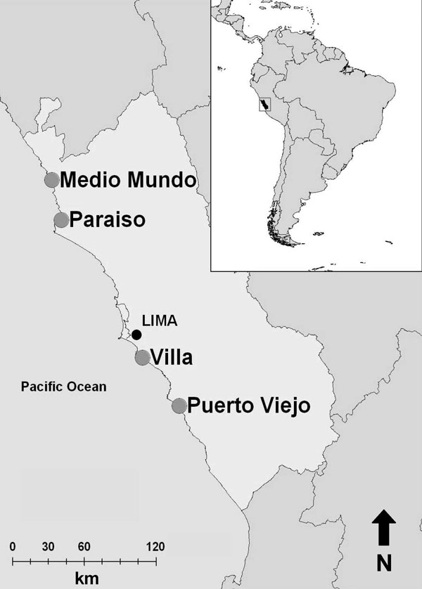 Locations of 4 sites (large circles) along coast of Peru where wild bird fecal samples were collected, June 2006–December 2007.