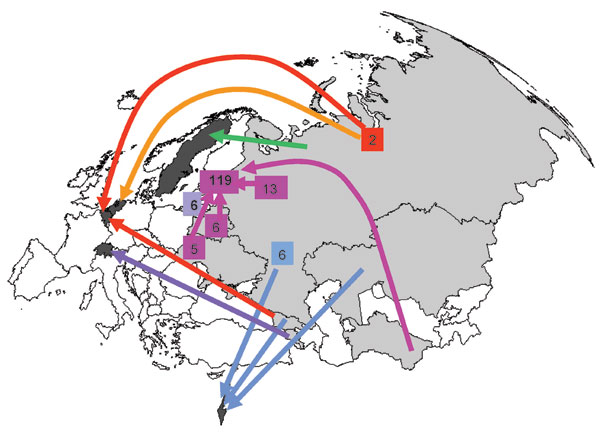 Origin and country of report for the largest European cluster of multidrug-resistant tuberculosis cases (cluster E0051). The cases were reported in 12 European countries (see Table 3). Five countries did not have information about the origin of the cases reported there. For cases reported in the countries shaded in dark gray, the base of the arrow shows where case-patients originated (1 case per arrow, unless otherwise indicated). The 6 case-patients reported in Lithuania were also born there. O