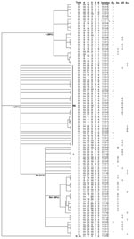 Thumbnail of Dendrogram of the 99 multilocus variable number tandem repeat analysis (MLVA) profiles obtained with 178 isolates and strains. Bootstrap distances are indicated between brackets after the names of the groups and subgroups. The numbers in the brackets after the number of isolates for each profile correspond to the number of isolates from humans and from cats, respectively. As, Asia; Au, Australia-New Zealand; Eu, Europe; US, United States; A, group A; B, group B; Ba, subgroup Ba; Bb,