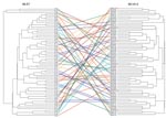 Thumbnail of Comparison of multilocus sequence typing (MLST) and 4-locus multilocus variable number tandem repeat analysis (MLVA-4) dendrograms for 65 Burkholderia pseudomallei isolates. MLST sequence type (ST) is shown for each isolate, with the corresponding isolate number listed for the MLVA-4 profile and shown by the colored lines. The red asterisks indicate 6 isolates that represent diversity of MLVA-4; these isolates were used to calibrate the dendrogram in Figure 3.