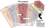 Thumbnail of Expanding-wedge tactic with progressive elimination (9). Numbers represent successive oral rabies vaccination (ORV) zones. Potential savings are assumed for the area of progressive elimination, southern Ontario Province. The rectangle bordering the rabies source (i.e., 5) highlights an area of enhanced surveillance, possible point infection control (PIC) activities, trap–vaccinate–release (TVR) activities, or an ORV zone intended to deter future reemergence of the virus.