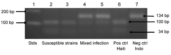 Agarose gel electrophoresis of amplicons for the Plasmodium falciparum chloroquine (CQ) resistance transporter gene digested with ApoI. Lane 1, DNA molecular mass standards (Stds) (Invitrogen, Carlsbad, CA, USA); lanes 2 and 3, amplicons susceptible to cleavage by ApoI, showing 2 fragments of 100 and 34 bp, consistent with infection by only CQ-susceptible haplotype parasites; lanes 4 and 5, amplicons partially resistant to cleavage by ApoI, showing 3 fragments of 134, 100, and 34 bp, consistent