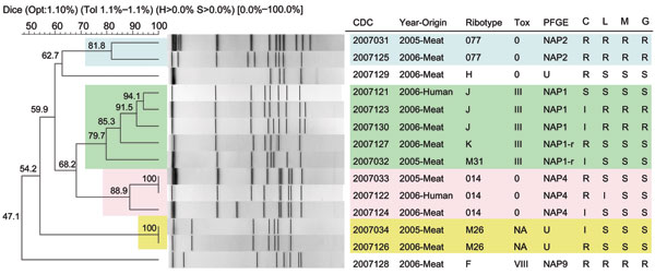 Pulsed-field gel electrophoresis (PFGE)–SmaI dendogram of Clostridium difficile isolates of meat and human origin in Canada. Representative PCR ribotypes 077, 014, M31, and M26 are of meat origin from 2005 (4,11). PCR ribotype designations are described in Table 2. Note the genetic similarity (94.1%–100%) and antimicrobial resistance profiles between human and meat isolates, especially PCR ribotypes 014 and J. Also note the genetic similarity (81.8%–100%) between meat isolates from 2005 and 2006