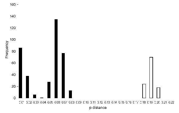 Histogram showing distribution of nucleotide pairwise (p) distances in the medium segment of Toscana virus. p distances are for nucleotides; frequencies are for intervals of 0.01. Validity of this method was confirmed by analysis of variance, comparing the scores of sequence comparisons within genotypes to those between genotypes. Black bars indicate intralineage distribution; white bars indicate interlineage distribution.