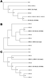 Thumbnail of 5′ untranslated region (A), capsid protein VP1 (B), and complete genome (C) phylogeny of the virus clades studied. Trees were produced by condensing the full phylogeny shown in Technical Appendix 2 Figure 1, panels A, B, and D. Human rhinovirus C′ (HRV-C′) includes the divergent rhinoviruses described in 2007 (13) and a related clinical strain (CL-Fnp5). HRV-C includes the new clade described since 2006 (9–14,16). Enterovirus 104 (EV-104) and the related strain CL-1231094 refer to a
