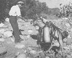 Thumbnail of Donkeys used to transport equipment and larvicide in hilly territory, Sardinia, 1948–1950. Photograph by Wolfgang Suschitzky. Reprinted with permission from Istituto Etnografico della Sardegna.