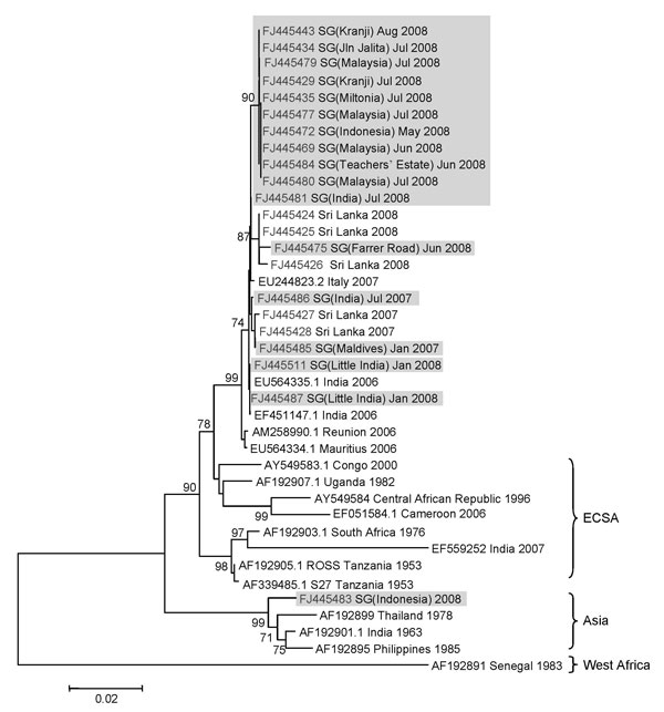 Phylogenetic analysis of the chikungunya virus (CHIKV) envelope 1 (E1) gene. The maximum-likelihood method was used to construct the phylogenetic tree by using 1,002 nucleotides of the sequence of the E1 gene from codons 91 to 424. The tree included 17 isolates detected in Singapore (shaded), 5 Sri Lankan isolates sequenced at the Environmental Health Institute, and 17 global sequences selected to represent all known phylogenetic lineages. In the tree, all sequences are labeled with GenBank acce