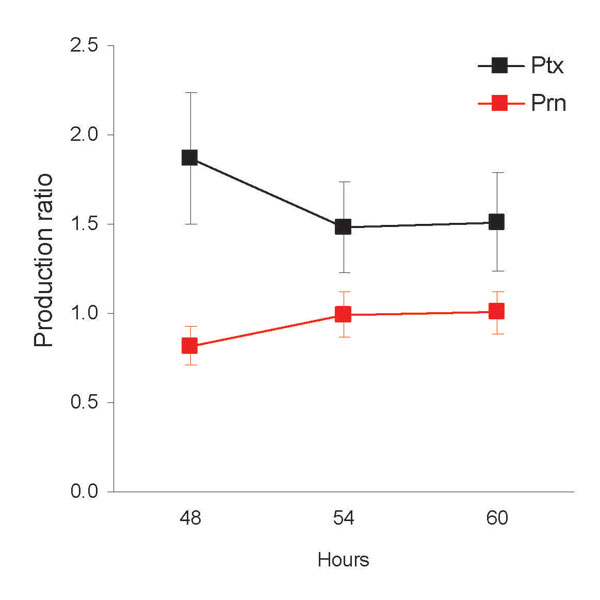 Production of pertussis toxin (Ptx) and pertactin (Prn) by pertussis toxin promoter 1 (ptxP1) and ptxP3 strains. Strains were incubated for the 48, 54, and 60 h, after which the amount of Ptx and Prn was determined by ELISA. The production ratio was calculated as follows: ptxP3 strain values/ptxP1 strain values; 8 strains, 4 ptxP1 strains and 4 ptxP3 strains, were used. The experiment was performed 3 times. Error bars indicate 95% confidence intervals. The Ptx and Prn ratios were significantly d