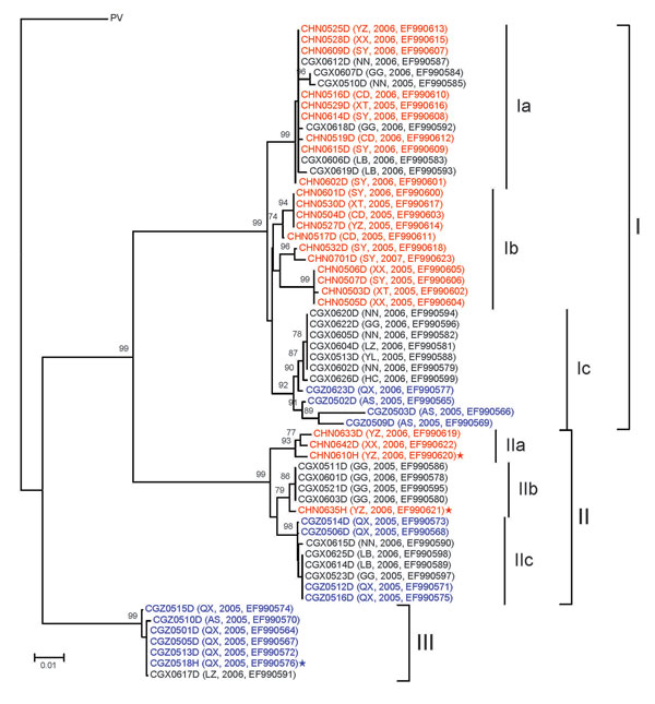 Neighbor-joining phylogenetic tree of 60 specimens of rabies virus from the People’s Republic of China, 2005–2007, based on a 720-nt (nt 704–nt 1423) nucleoprotein (N) gene fragment of rabies virus rooted with the Pasteur strain of rabies virus (PV). Numbers at each node indicate degree of bootstrap support; only those with support &gt;70% are indicated. Taxa are from Hunan Province are shown in red, taxa are from Guangxi Province in black, and taxa are from Guizhou Province in blue. City, year