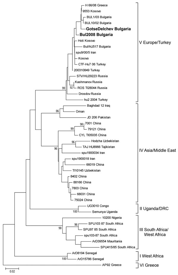Phylogenetic tree of partial sequence (256 bp) of Crimean-Congo hemorrhagic fever (CCHF) virus nucleoprotein gene. CCHF virus sequences are listed as viral strain name and country of origin. Sequence of case 3 is designated in the tree as “Gotse Delchev Bulgaria,” and sequence of case 4 is designated as “Bul 2008 Bulgaria” (in boldface). Strain AP92, Greece, was used as an outgroup. Numbers at the nodes represent bootstrap values. Scale bar indicates number of nucleotide substitutions per site.