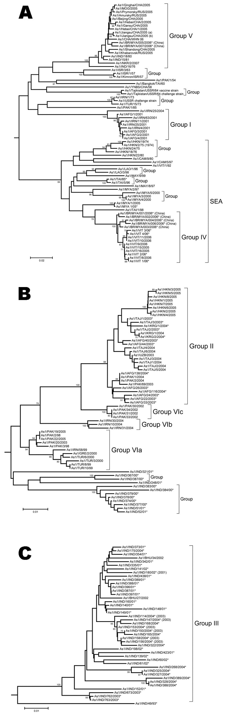 Midpoint-rooted neighbor-joining tree showing relationships between the foot-and-mouth disease Asia 1 viruses studied. A) groups I, IV, and V; B) groups II and VI; C) group III. Other groups of older (pre-2003) viruses sharing &gt;90% nucleotide identity are indicated by the word “group” without any number. Only bootstrap values &gt;70% are shown. Scale bars indicate nucleotide substitutions per site. SEA, group of viruses found in only in Southeast Asia and Hong Kong. *Indicates that the refere