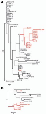 Thumbnail of Neighbor-joining trees based on the polymorphic sites in Candida dubliniensis multilocus sequence typing (MLST) sequences. Bootstrap values &gt;60% are indicated at cluster nodes. Avian-associated isolates are indicated in red. Numbers of polymorphic sites in isolates are indicated by scale bars. A) Isolates of MLST clade C1 defined by McManus et al. (7) showing location of avian-associated isolates in relation to human isolates in the same clade; human isolates were originally obta