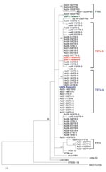 Thumbnail of Phylogenetic tree by maximum parsimony method, rooted at the midpoint, based on the 320-bp region of G2 glycoprotein–encoding medium segment of 4 hemorrhagic fever with renal syndrome patients who were US soldiers in South Korea (patients 1–4), 2005 (GenBank accession nos. FJ561275–FJ561278) and field mice (Apodemus spp.)–borne Hantaan viruses (HTNV). HTNV sequence amplified from patient 1 was identical with a HTNV sequence (Aa04–1325) from A. agrarius mice captured at firing point