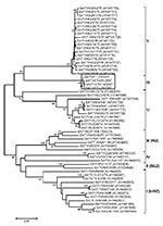 Thumbnail of Midpoint-rooted neighbor-joining tree (based on the complete virus protein 1 coding sequence) showing the relationships between the foot-and-mouth disease virus serotype Southern African Territories (SAT) 1 isolates from Ethiopia and other contemporary and reference viruses. The 4 isolates from Ethiopia in 2007 are boxed. The year in parenthesis indicates the year of sample collection. Scale bar indicates substitutions per site. *Not a reference number assigned by the World Referenc