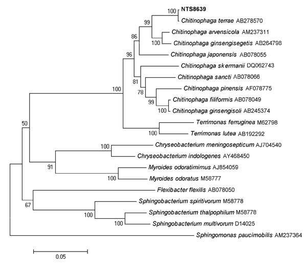 Neighbor-joining (NJ) tree showing the phylogenetic placement of strain NTS8639 (in boldface) among members of the Chitinophaga terrae species. Twenty-one 16S rRNA gene sequences selected from the GenBank database were aligned with that of strain NTS8639 by using MEGA4 (www.megasoftware.net). Accession numbers are indicated after the species name. The evolutionary history was inferred using the NJ method. The figure shows the optimal tree; the sum of the branch lengths = 1.12829943. The percenta
