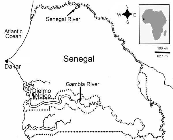 Location of Dielmo and Ndiop in Senegal, Africa. Plus-symbol lines define the Senegal frontiers. The number of fecal samples positive for Tropheryma whipplei and number tested for children in each age group was as follows: Dielmo, 1/13 from children &lt;8 months of age, 5/9 from children 8–24 months of age, and 19/54 from children 2–10 years; Ndiop, 1/5 for children &lt;8 months of age, 5/18 from children 8–24 months of age, and 27/51 from children 2–10 years of age.