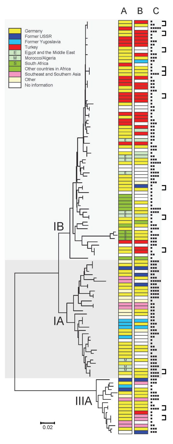 Neighbor-joining phylogenetic tree of a 348-bp section of the viral capsid protein 1//2A junction region of hepatitis A virus (HAV) constructed by using the Kimura 2-parameter distance model. Place of infection (A), migration background (B), and age of case-patients (■, 0–9 y; ■■, 10–19 y; ■■■, 20–39 y; ■■■■, 40–59 y; ■■■■■, &gt;60 y) (C) are shown for each HAV isolate. Linked cases as judged by health departments are indicated by brackets. HAV subgenotypes are indicated by roman numerals and le