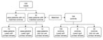 Thumbnail of Matching of case-patients with Acanthamoeba keratitis and controls, United States, 2005–2007.