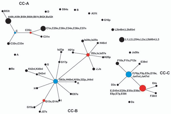 eBURST population snapshot for Chlamydia trachomatis isolates. Sequence types (STs) that are linked differ at single multilocus sequence typing locus and represent clonal complexes. Strains in the same clonal complexes are likely descended from the same recent ancestor. Each circle represents a ST. An ST in blue is most likely the primary founder of the clonal complex; STs in red are subgroup founders. The number of isolates of each ST is represented by the area of the circle. Clonal complex A (