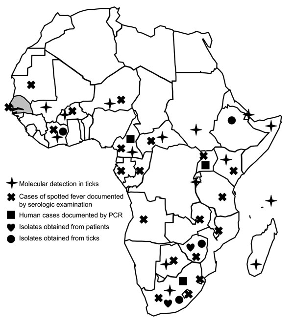 Distribution of Rickettsia africae in the African continent and serologic evidence of spotted fevers in humans. Gray shading indicates location of Senegal.