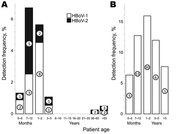 Age distribution of study participants with positive fecal (A) and respiratory (B) sample results for human bocavirus (HBoV), subdivided by HBoV species. Circles indicate numbers of positive samples in each category. Analysis of age distribution of persons with positive respiratory samples was restricted to samples from Bangkok, Thailand.