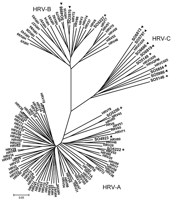 Phylogenetic analysis of 5′ noncoding region and viral protein (VP) 4/2 coding region of 9 human rhinoviruses (HRVs) identified in infants with apparently life-threatening events in Spain, November 2004–December 2008. Phylogeny of nucleotide sequences (≈492 bp) was reconstructed with neighbor-joining analysis by applying a Jukes-Cantor model; scale bar indicates nucleotide substitutions per site. Included for reference are sequences belonging to the novel genotype reported previously (QPM and 02