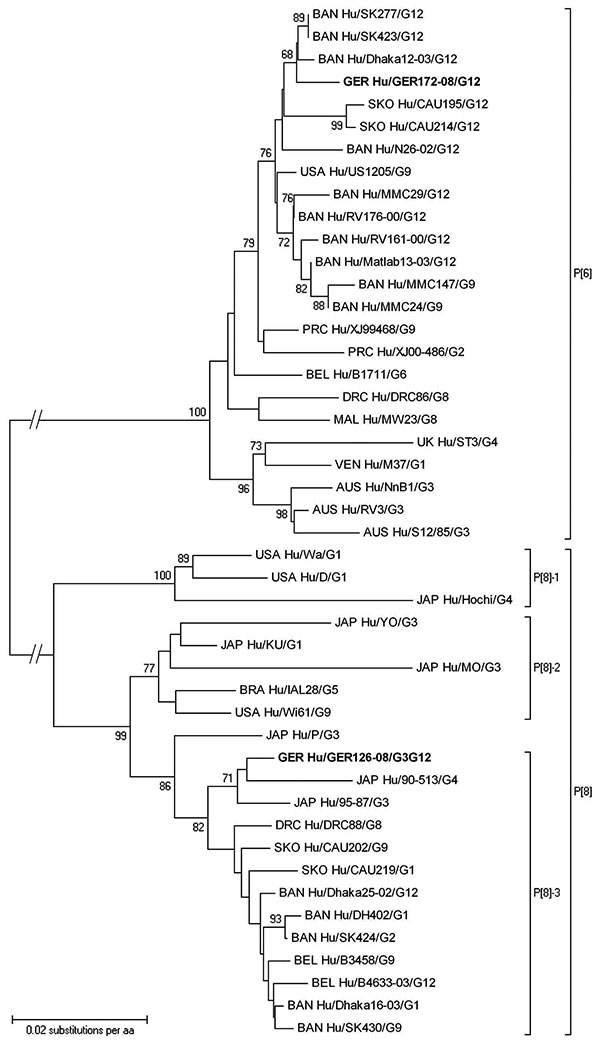 Phylogenetic dendrogram of viral protein 4 (VP4) P[6] and P[8] rotaviruses at the amino acid level. Bootstraps values (1,000 replicates) &gt;65% are shown. The strain name is prefixed by the country of origin (AUS, Australia; BRA, Brazil; BAN, Bangladesh; BEL, Belgium; DRC, Democratic Republic of Congo; GER, Germany; JAP, Japan; MAL, Malawi; PRC, People’s Republic of China; SKO, South Korea; UK, United Kingdom; USA, United States of America; VEN, Venezuela) as well as the viral host (Hu, human)