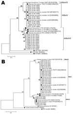 Thumbnail of Phylogenetic analysis of A) the partial nonstructural protein 1 (NS1) nucleotide sequences (412 bp) and B) the partial nucleoprotein 1 (NP1) nucleotide sequences (256 bp) of human bocavirus 2 (HBoV2), Gansu Province, People’s Republic of China. The phylogenetic trees were constructed by the neighbor-joining method using MEGA 3.1 (www.megasoftware.net), and bootstrap values were determined for 1,000 replicates. Bootstrap values &gt;50% are shown at the branching points. Human bocavir