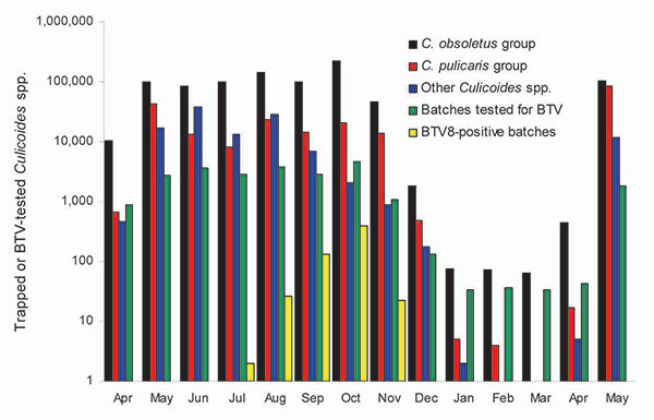 Monthly catches of midges of the Culicoides obsoletus group (black), C. pulicaris group (red), and other Culicoides spp. (blue) captured with 89 black light traps in Germany during 7 consecutive nights in the first week of each month during the study period (April 2007–May 2008). Batches consisting of &lt;50 female biting midges were tested for bluetongue virus (BTV) by real-time reverse transcription–PCR. The total number of batches (green) and the number of batches positive for BTV (gold) are