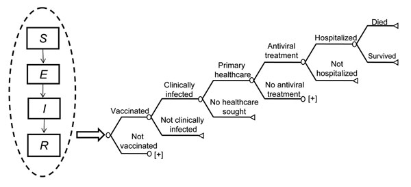 Schematic of hybrid transmission and decision analytic economic model. [+] indicates a cloned subtree with the same structure as the branch above. In sensitivity analysis, the probabilities of healthcare utilization and death were independent of each other but dependent on the probability of clinical infection. We assumed those with serious complications would seek primary healthcare. SEIR, susceptible, exposed, infected, removed.