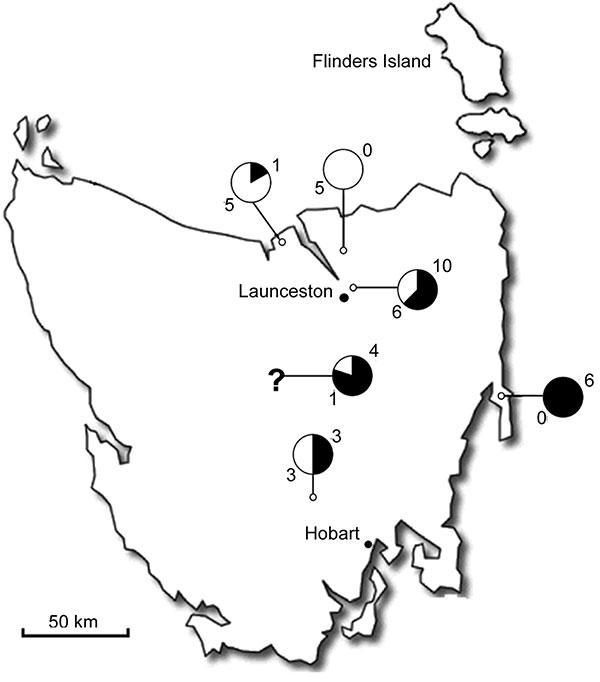 Map of Tasmania, Australia, showing number of positive (black) and negative (white) ticks and their locations. The question mark indicates unknown locations. A total of 55% of the ticks were positive for a spotted fever group rickettsia.