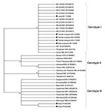 Thumbnail of Phylogenetic tree of dengue type 3 serotypes and sequences from Aedes aegypti mosquitoes and larvae obtained in Belo Horizonte, Minas Gerais, Brazil. The tree is based on a 434-nt sequence of the capsid–premembrane gene and was generated by using neighbor-joining analysis with the Tamura-Nei model in MEGA4.1 software (Arizona State University, Tempe, AZ, USA). Numbers to the left of the nodes are bootstrap values (1,000 replicates) in support of the grouping to the right. Numbers in