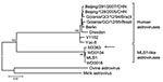 Thumbnail of Neighbor-joining tree based on partial sequences of open reading frame 1a protein of human and animal astroviruses. Amino acid sequences of the Mexican M3363 strain (arrow) were obtained from Walter (4); other sequences were obtained from GenBank. Bootstrap values &gt;90 are indicated. Scale bar is proportional to genetic distance and indicates nucleotide substitutions per site.