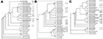 Thumbnail of Phylogenetic trees illustrating relatedness of hemagglutinin sequences from influenza A (H1N1) (A), A (H3N2) (B), and B/Malaysia-like viruses (C) from pre–World Youth Day 2008 (WYD2008) Australian isolates (●), WYD2008 isolates (†), post-WYD2008 Australian isolates (▲), and related international isolates. Trees were constructed by using maximum-likelihood (DNAml) in PHYLIP. Only bootstrap values &gt;60 are included.