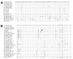 Thumbnail of Amino acid sequences of vaccinia virus (VACV) samples and comparison with homologous genes sequences from several orthopoxviruses, Brazil. A) Alignment of vaccinia growth factor gene sequences from 6 monkey serum samples showing 100% identity (horizontal box). VACV-TO_CA, sequence from Cebus apella; VACV-TO_AC, sequence from Allouata caraya; HPXV, horsepoxvirus; CPXV, cowpoxvirus; MPXV, monkeypoxvirus; VARV, variola virus; ECMV, ectromelia virus. B) Alignment of orthopoxvirus hemagglutinin gene amino acid sequences showing the deletion signature region (vertical box) in VACV-TO isolates and several VACV strains isolated during bovine vaccinia outbreaks. Arrow indicates polymorphism site in the hemagglutinin amino acid sequences between VACV-TO_CA and VACV-TO_AC. Alignments were made by using ClustalW (www.ncbi.nlm.nih.gov/pmc/articles/PMC308517) and MEGA version 3.1 software (www.megasoftware.net). HSPV, horsepoxvirus.