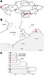 Thumbnail of Geographic distribution of genotypes of Bacillus anthracis strains in Kazakhstan (A), with a closer view of outbreaks within eastern and southern Kazakhstan (B). Different genotypes are represented by different shapes and color coding reflecting major genetic affiliations (C). * and † indicate novel subgroups. Scale bar indicates genetic difference.