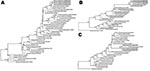 Thumbnail of Phylogenetic trees of influenza subtype H3N8 viruses showing analyses conducted on A) hemagglutinin genes, B) neuraminidase genes, and C) matrix genes. Sequences from dogs are from the same animal on successive days. Boldface indicates viruses identified in dogs and horses in Australia, 2007, asterisks (*) indicate viruses from horses in Japan, and daggers (†) indicate viruses from dogs in the United States. Bootstrap values &gt;50 are indicated at branch nodes. Bootstrap trials = 1